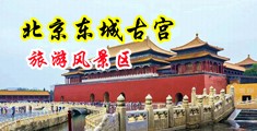 淫荡富婆中国北京-东城古宫旅游风景区
